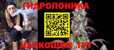 хмурый Дубна