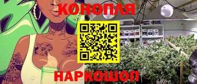 стаф Заводоуковск