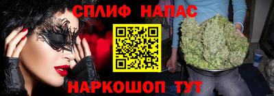 хмурый Дубна