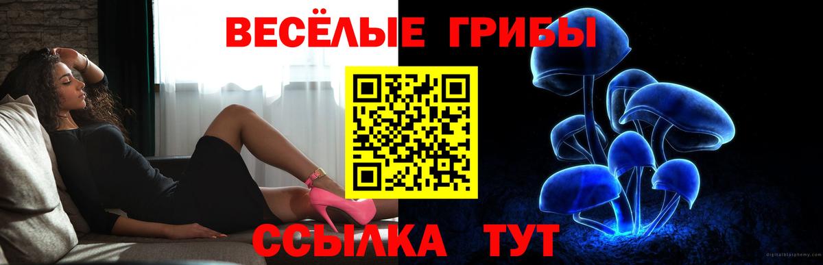 Галлюциногенные грибы ЛСД Москва